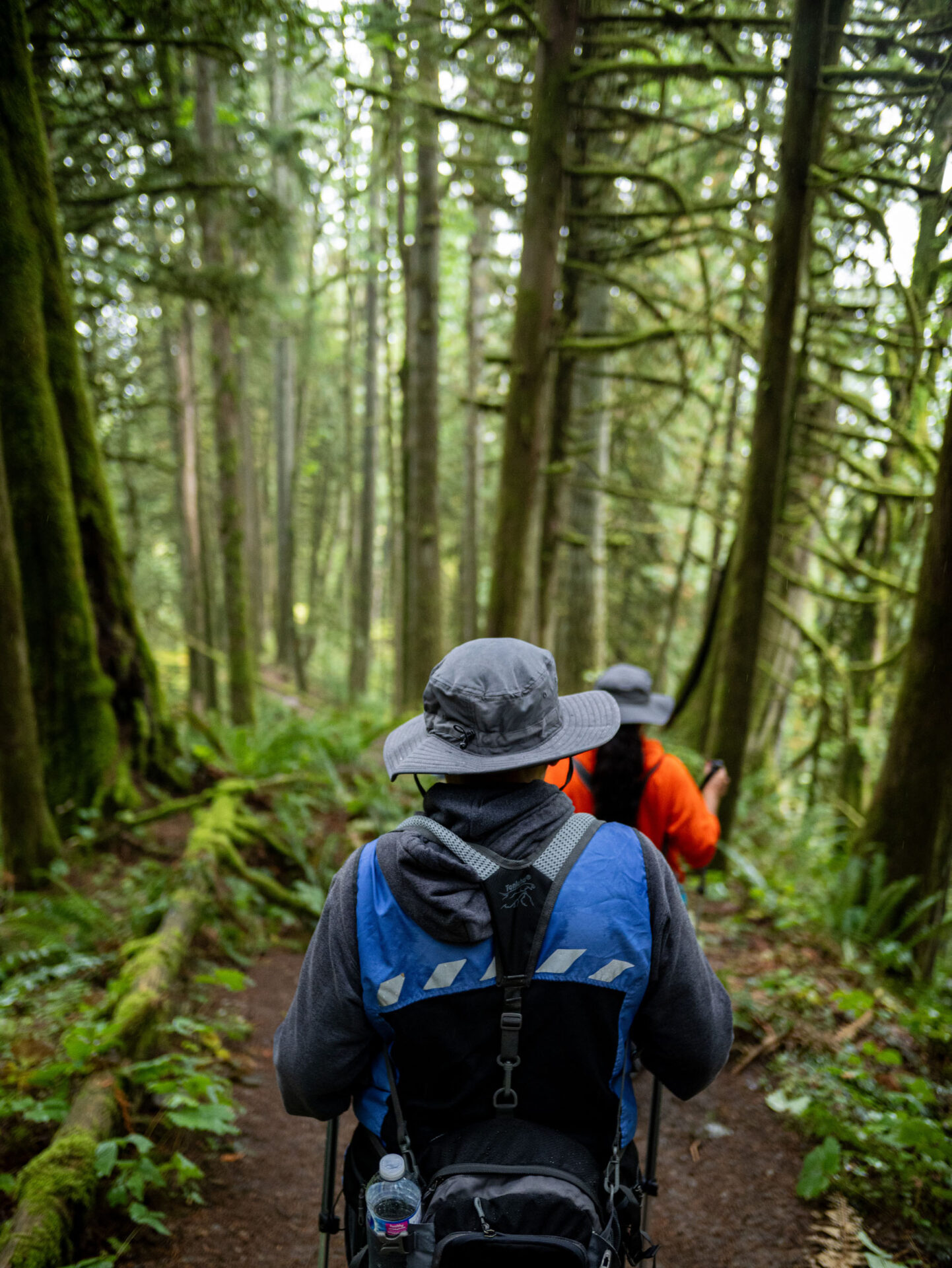 Hiking Sacred Indigenous Lands BC Canada
